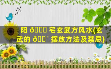 阳 🐈 宅玄武方风水(玄武的 🐴 摆放方法及禁忌)